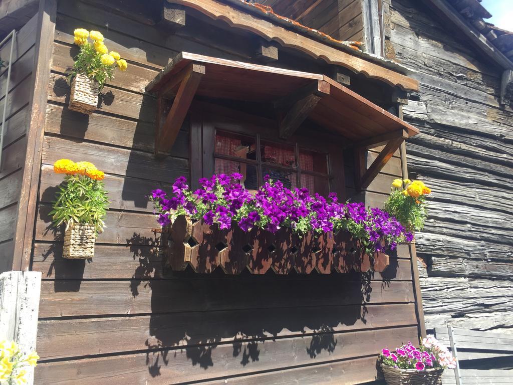 Ascot-Zermatt Apartment Екстериор снимка